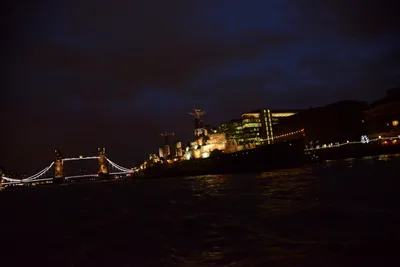 DSC_5704 (Large).JPG